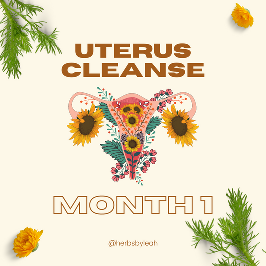 Limpieza de Matriz Mes 1 | Uterus Cleanse Month 1